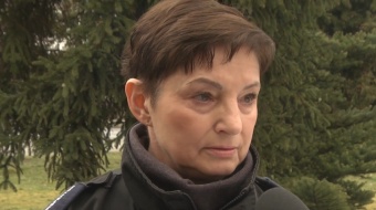 Wolontariusze w schronisku