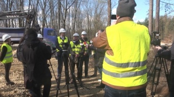 Zagroda żubrów w Brzeziu