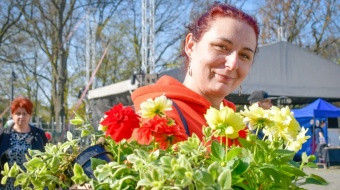 Zamkowy jarmark kwiatów