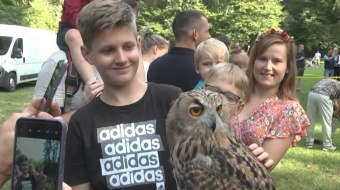 Piknik leśny w Arboretum Bramy Morawskiej