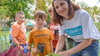 Święto Dyni w Raciborzu
