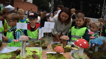 Bezpieczne grzybobranie na zamku