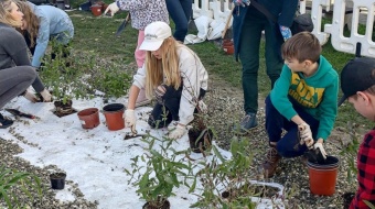 Ogród deszczowy przy SP 13