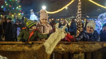 Jarmark świąteczny w Kuźni Raciborskiej