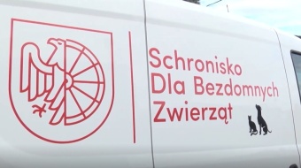 Opieka nad zwierzętami zimą