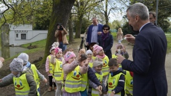 Nasadzenia w parku m. Roth