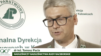 100 lat Lasów Państwowych