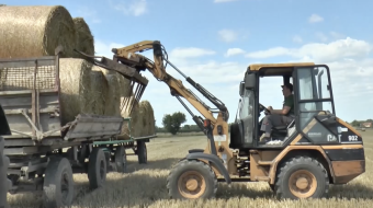 Pomoc dla rolników po gradobiciu