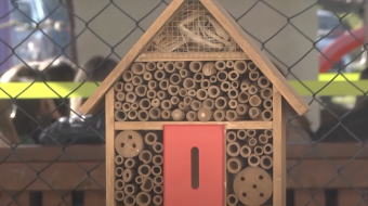 Ekopracownia pod chmurką