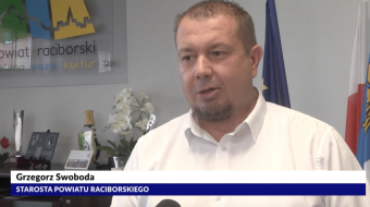 Smolasty na dziedzińcu zamku