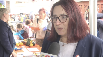 Bezpieczne grzybobranie na zamku