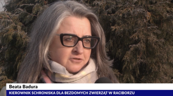 Nie strzelaj w Sylwestra