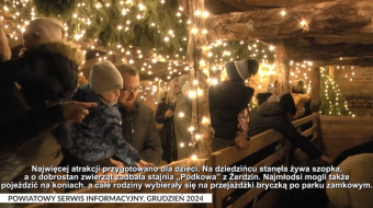 Powiatowy serwis informacyjny