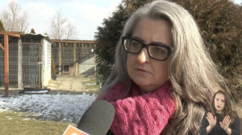 Wiadomości dla niesłyszących