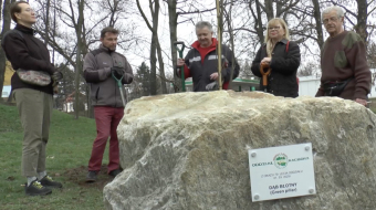 Dąb błotny na 70-lecie PTTK