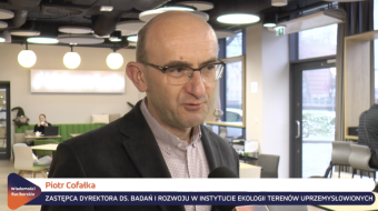 Miasto szykuje się na zmiany klimatu