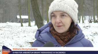 Zima w Arboretum Bramy Morawskiej