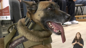 Wiadomości dla niesłyszących