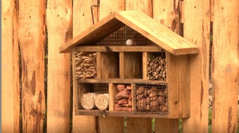 Pożyteczne grządki