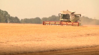 Brak wody utrapieniem dla rolników