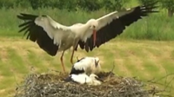 Program LIFE dla klimatu