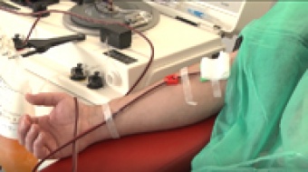 Ozdrowieńcy pomagają