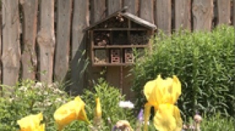 Nowości w arboretum