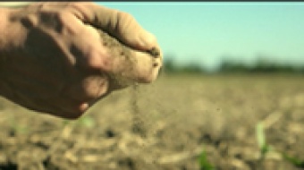 Kolejny program dla środowiska