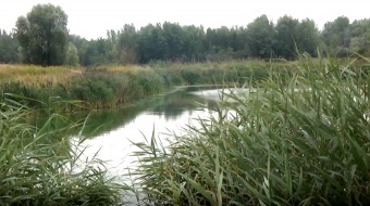 Park zamiast żwirowni?