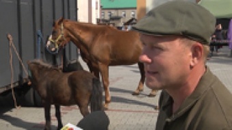 Wracają comiesięczne targi