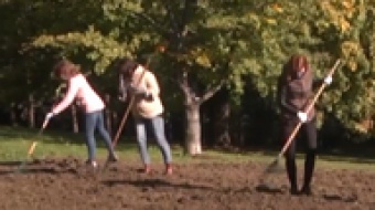 Łąka kwietna wyrośnie w Parku Zamkowym