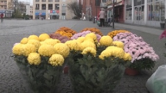 Pomoc dla handlarzy kwiatów