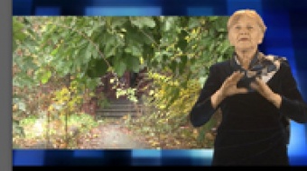 Wiadomości dla niesłyszących