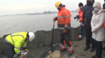 Kapsuła czasu na Ptasiej Wyspie