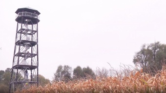 Otwarcie wieży widokowej na Meandrach Odry