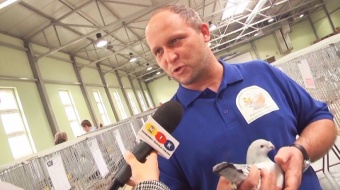 Wystawa drobnego inwentarza w Pietrowicach Wielkich