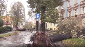 Huragan Grzegorz w Raciborzu