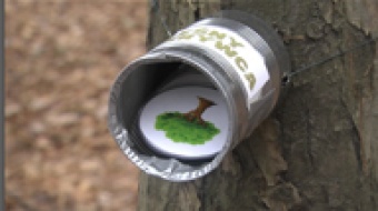 Na ferie do Arboretum Bramy Morawskiej