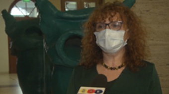 Pierwszy plenerowy koncert