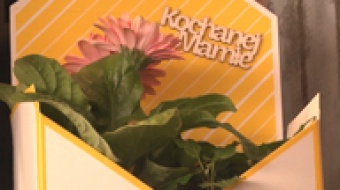 Podarujmy mamie kwiaty