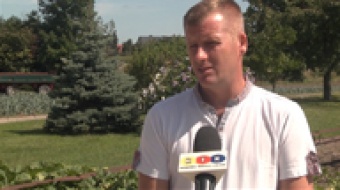 Warzywa prosto z pola