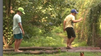 Arboretum na wakacje