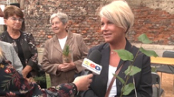 Muzyka, tańce i pokaz ognia