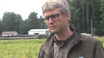 Gospodarstwo szkółkarskie w Nędzy