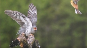 Najciekawsze okazy przyrodnicze już w galerii