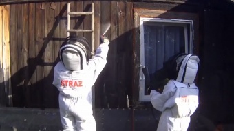 Gniazdo do likwidacji?