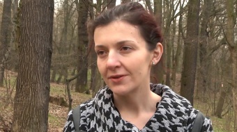 Sprawdź swoją wiedzę o lesie