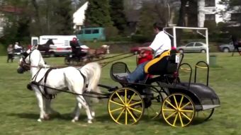 Majówka konna w gminie Pietrowice Wielkie