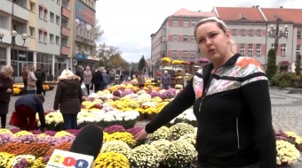 Przygotowania do Wszystkich Świętych