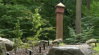 W poszukiwaniu ciekawych okazów przyrodniczych